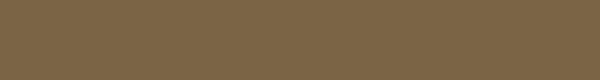 Couleur brune unie sans nuances ni textures.
